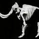 Image for article titled Bones of the Gigantomachy